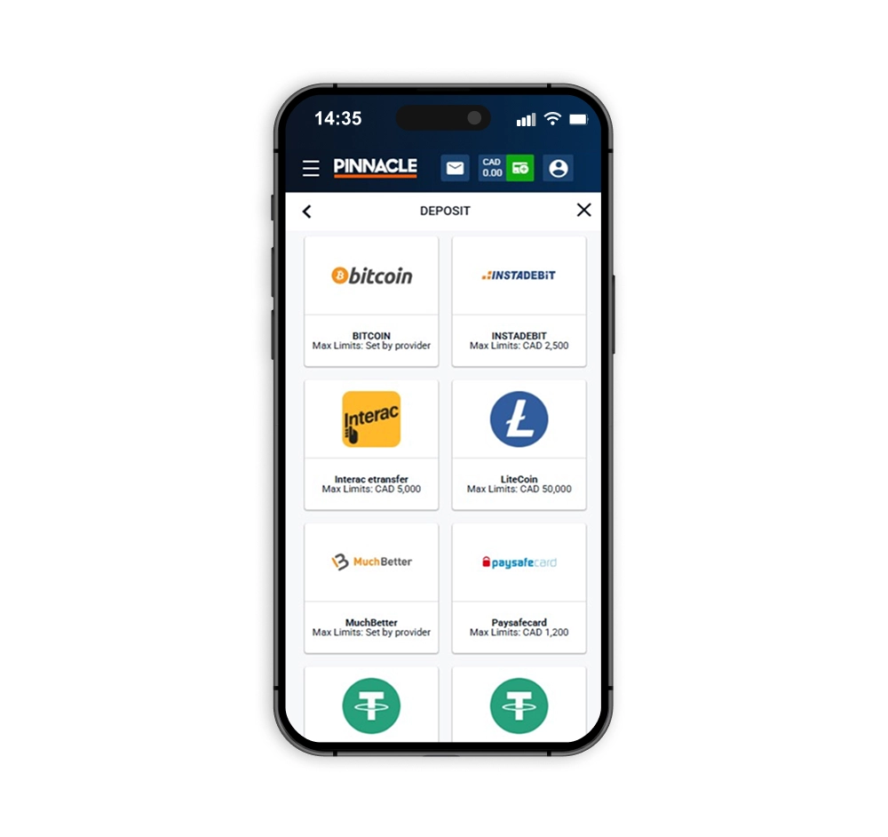 Pinnacle deposit options